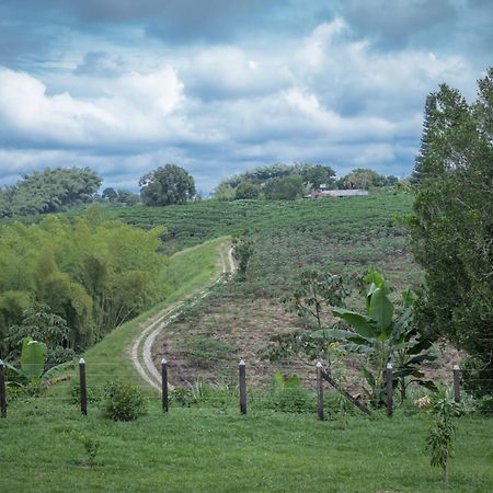 Finca Hotel Heron キンバヤ エクステリア 写真